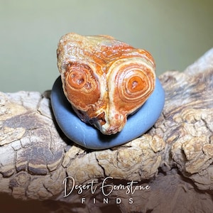 Natürlicher Gobi Achat– seltener und einzigartiger Gobi Wüstenachat mit roter Augen Spirale aus der Inneren Mongolei | Seltener Scheibenachat