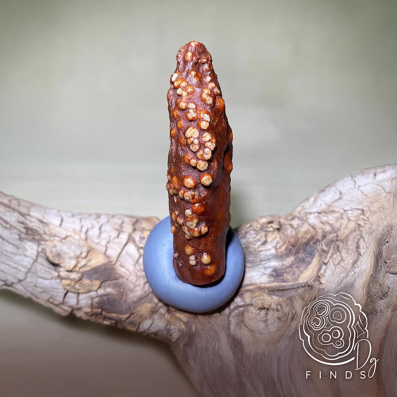 Gobi Desert Red Fish Roe Agate – Natural Rod-shaped Mongolian Agate ...