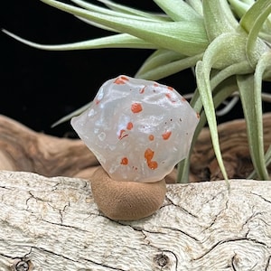 Alxa Gobi Desert Durchscheinender Moosachat mit leuchtend roten, weißen Flecken - Ideal für DIY oder dekorative Displays