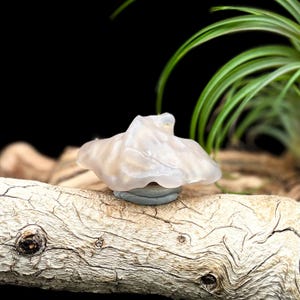 May include: A translucent, mushroom-shaped sculpture with a light pink hue, resting on a small, gray base. The sculpture sits on a piece of driftwood, with green plant life in the background. The overall aesthetic is natural and artistic.