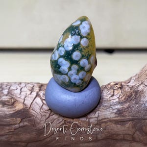 Natural Gobi Agate- Rare Collectible & Raw Yellow and Green Gobi Desert Agate from Inner Mongolia with Unique White Eye Spiral Formation