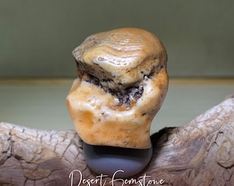 Peut inclure: Gros plan sur une pierre d'agate de couleur brun clair, orange et blanc avec une surface rugueuse et texturée. La pierre est posée sur un morceau de bois flotté.