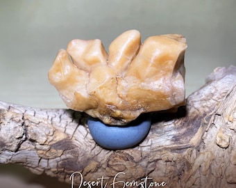 Peut inclure: Une roche de couleur brun clair, de formation naturelle, avec une forme organique unique. La roche est posée sur une pierre bleue, qui est sur un morceau de bois flotté. Le texte "Desert Gemstone Finds" est visible en bas de l'image.