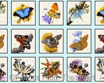 Butterflies and Moths Summer 7" Blocks Sky Blue 23"x 44" Panel ES Cotton Fabric