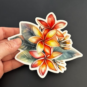 Plumeria sticker, Vinyl sticker, waterproof sticker, floral sticker, flowers, plants, flower lover gift, plant lover gift, gift for gardners