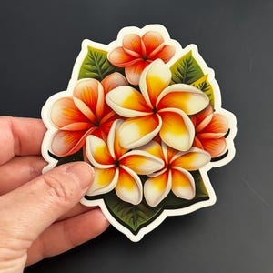 Plumeria sticker, Vinyl sticker, waterproof sticker, floral sticker, flowers, plants, flower lover gift, plant lover gift, gift for gardners