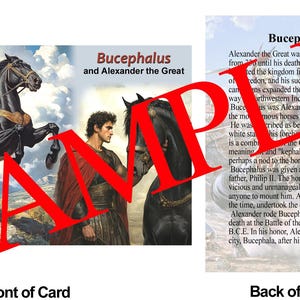 Bucephalus Horse Trading Card Alexander the Great Horses in History Series