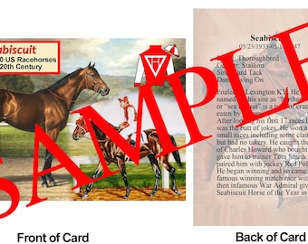 Seabiscuit Race Horse Trading Card #25 Top 100 US Racehorses of the 20th Century