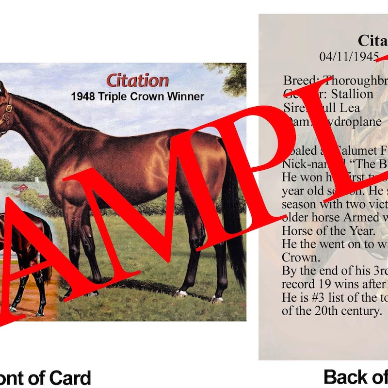 Vintage Trading Cards Horse - Etsy