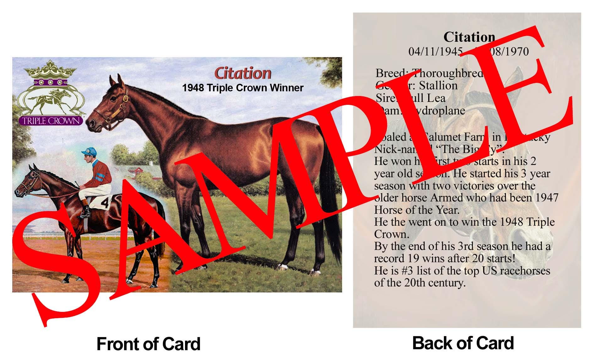 Citation trading card (1948 Triple Crown Winner) 2007 Hero Decks Horse