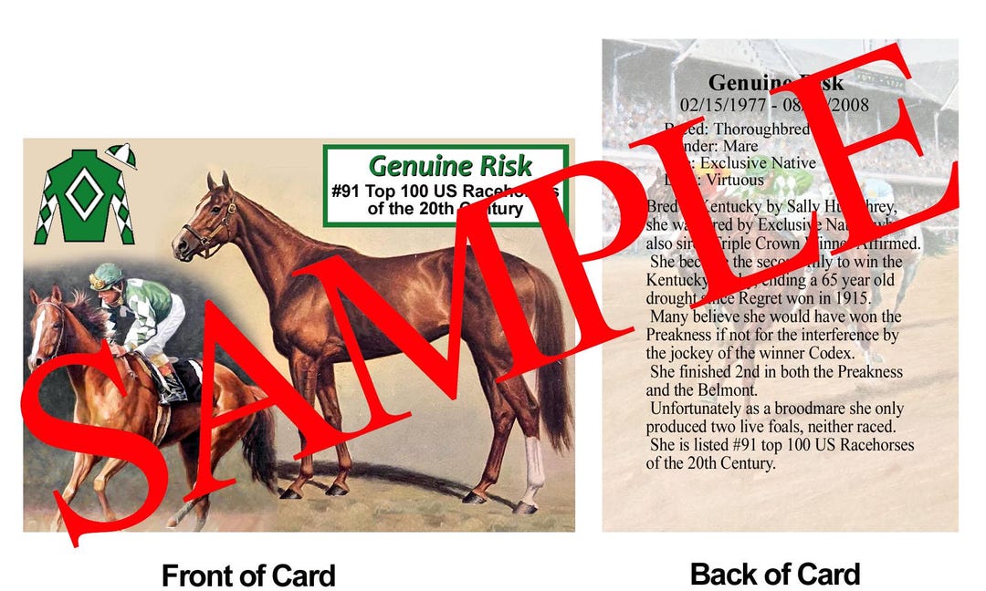 Genuine Risk Race Horse Trading Card #91 Top 100 US Racehorses of the ...