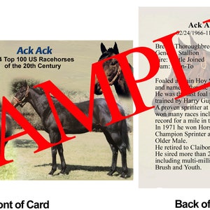May include: A black and white photo of a black racehorse running in a field. The horse is wearing a bridle and is running towards the right side of the image. The image is titled "Ack Ack #44 Top 100 US Racehorses of the 20th Century".