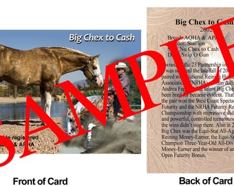 Big Chex to Cash Horse Trading Card Quarter Horse Paint Horse