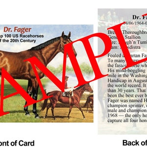May include: A vintage trading card featuring a brown thoroughbred racehorse named Dr. Fager. The card lists Dr. Fager as the #6 Top 100 US Racehorse of the 20th Century. The back of the card includes a biography of the horse, highlighting his accomplishments and records.