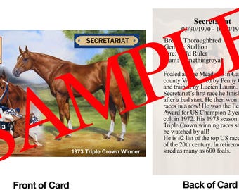 Secretariat Race Horse Trading Card 1973 Preakness Stakes Winner