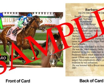 Barbaro Race Horse Trading Card 2006 Kentucky Derby Winner