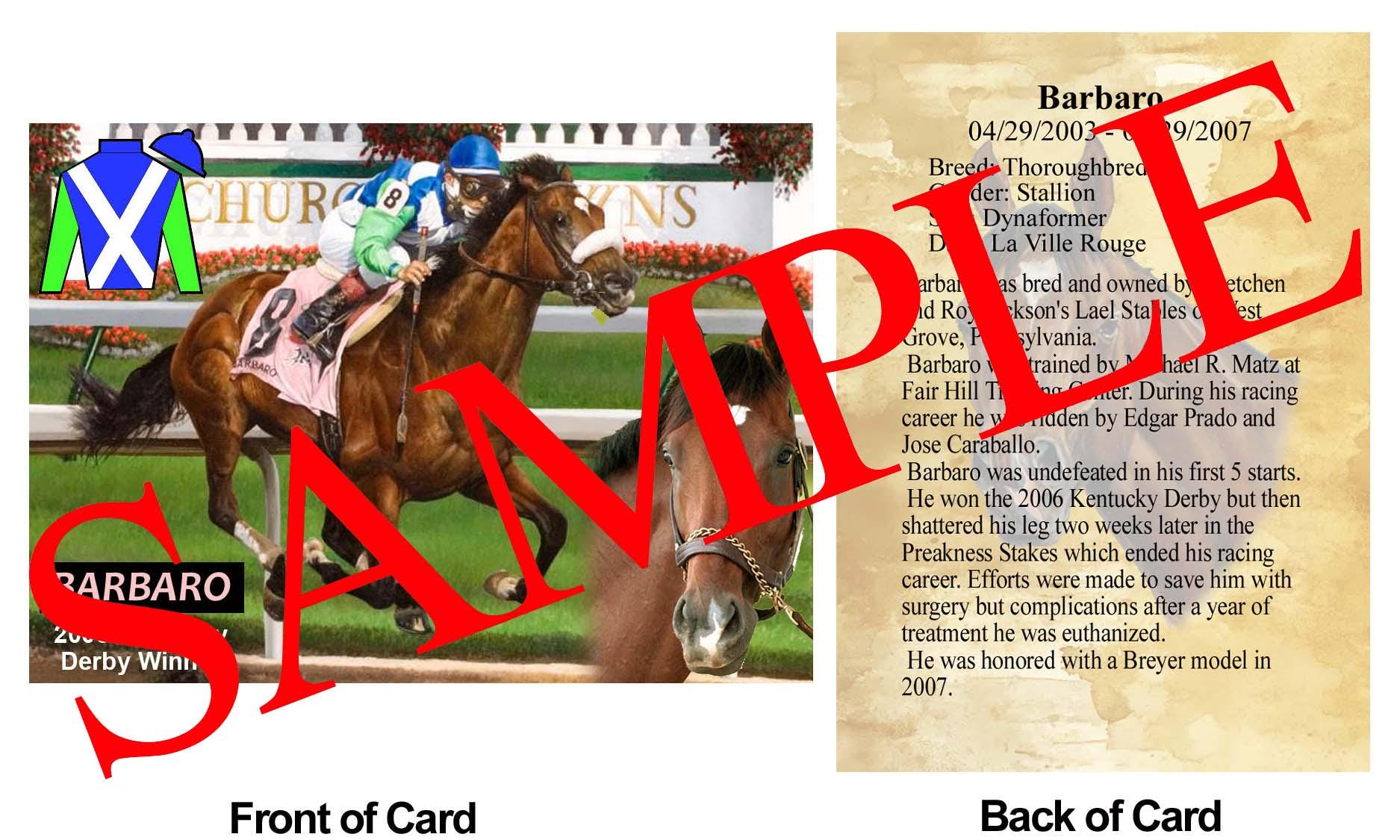 Equestrian Trading Cards - Etsy