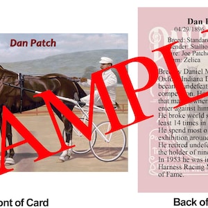 May include: A vintage card featuring a painting of a dark brown Standardbred horse in harness, driven by a man in white. The card is labeled "Dan Patch" with text on the back describing the horse's achievements.
