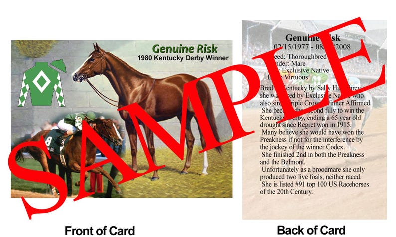 Genuine Risk Race Horse Trading Card 1980 Kentucky Derby Winner - Etsy