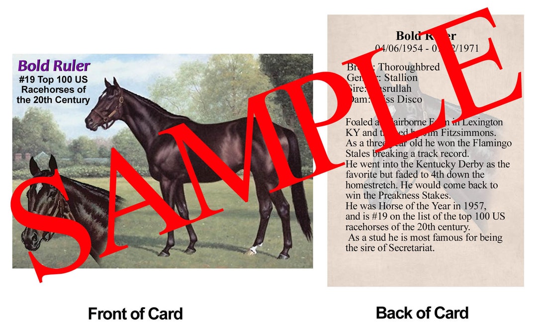 Bold Ruler Race Horse Trading Card #19 Top 100 US Racehorses of the ...