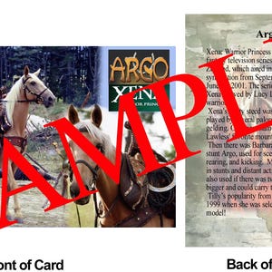 May include: A trading card featuring a scene from the television series Xena: Warrior Princess. The front shows Xena on horseback, with the text "ARGO" and "XENA" visible. The back provides information about the show and the horse Argo.