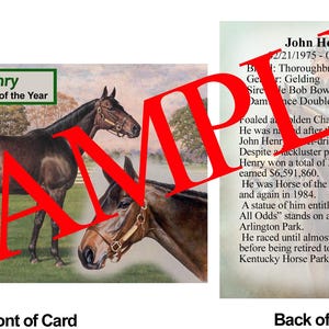 May include: A vintage trading card featuring a brown thoroughbred horse named John Henry. The front of the card shows the horse in a field, while the back of the card provides information about the horse's racing career, including his wins and awards. The card states that John Henry was the Horse of the Year in 1981 and 1984.
