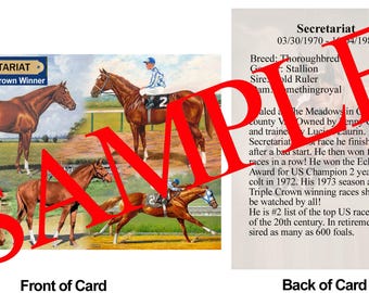 Secretariat Race Horse Trading Card Secretariat History Foal to Triple Crown Winner