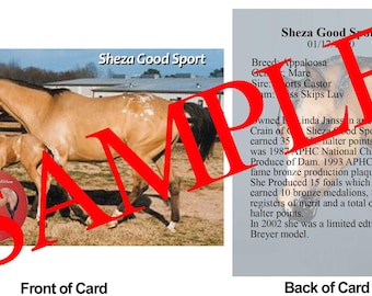 Sheza Good Sport Horse Trading Card Champion Appaloosa Mare