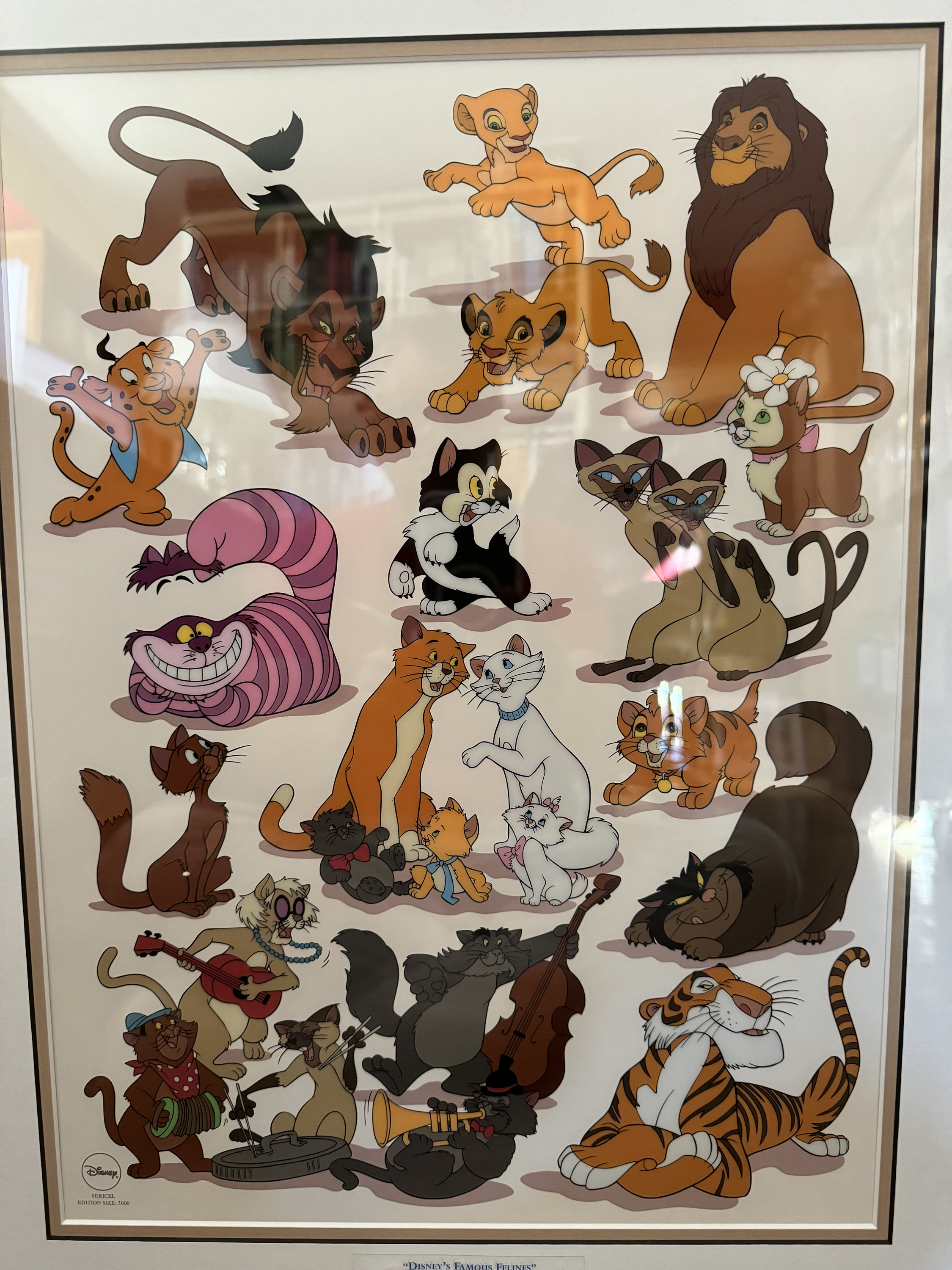 Walt Disney Studio's Animation Art Sericel 