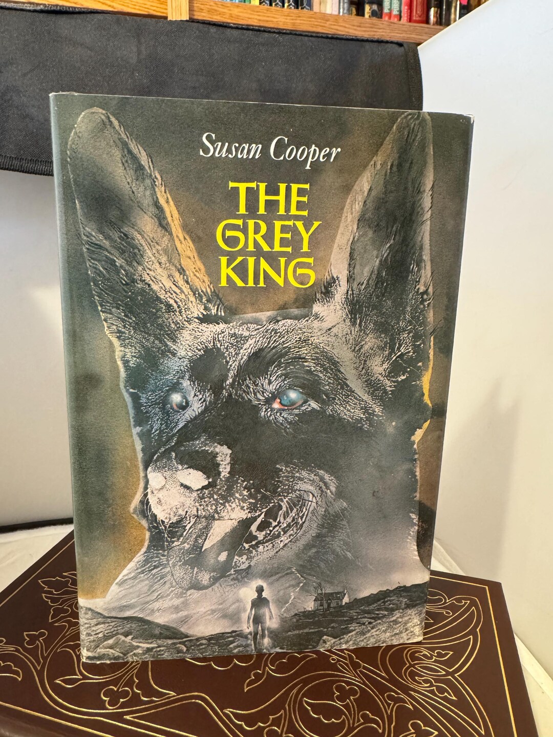 The Grey King - Susan Cooper - Hardcover - Etsy