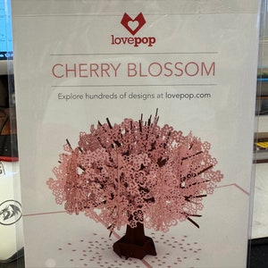 Kirschblüte - Lovepop 3D Pop-Up Grußkarte - Neu