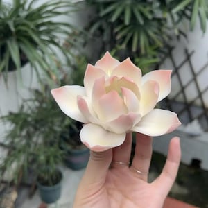 手作りの陶器のピンクの蓮の花の香立て | 蓮の花の香立て、部屋の装飾、ギフト
