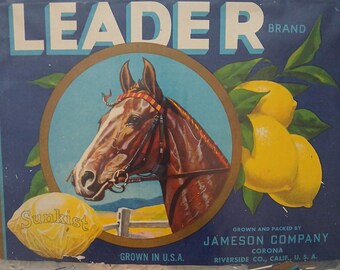1900-1950 Leader Citrus Advert Poster With Horse