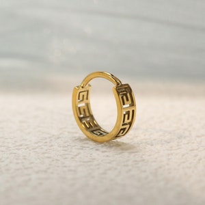 Unieke neusring 16G 316L Conch Ring Diafragma Sieraden Neusring Scharnier Segmentring