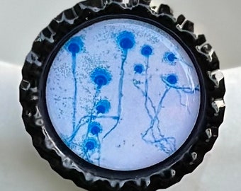 Aspergillus fumigatus retractable ID badge reel