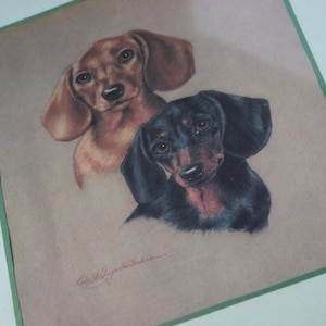 Vintage Dachshund incorniciato stampa 2 cani Doxy Cucciolo Ritratto Ritratto Ritratto Due cuccioli di damicello