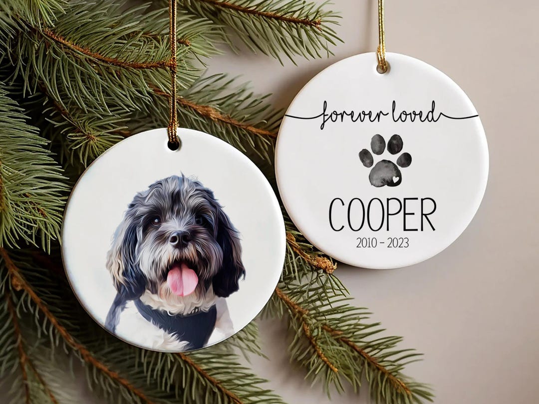 Personalized Pet Memorial Photo Ornament for Pet Loss Gift, Forever in ...
