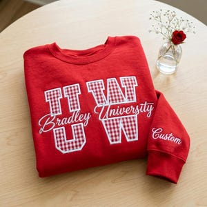 Gepersonaliseerde schoolnaam geborduurde ronde hals, custom gingham stoffen universiteitssweatshirt, varsity letter patch shirt, preppy universiteitscadeau