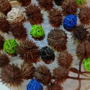 Könnte beinhalten: Eine Ansammlung dekorativer Kugeln und stacheliger Samenkapseln, die auf einer Holzoberfläche angeordnet sind. Die Kugeln sind in verschiedenen Farben gehalten, darunter Grün, Blau und Braun. Die Samenkapseln sind dunkelbraun.