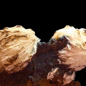 Puede incluir: Primer plano de un espécimen mineral con dos formaciones redondeadas de color crema. Las formaciones tienen una textura en capas con vetas marrones, sobre una base marrón oscuro y un fondo negro. La imagen sugiere un elemento geológico natural.