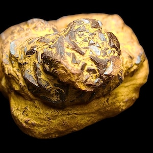 Peut inclure: Gros plan sur une roche jaune et brune avec un groupe de cristaux brun foncé. Les cristaux sont pointus et ont un éclat métallique.