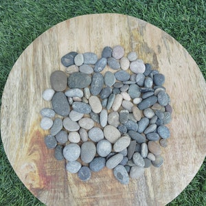 モザイク、工芸、装飾、その他のDIYプロジェクトに最適な天然の灰色の小石100個。