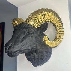 May include: Black and gold ram's head wall decor. The ram's head is made of a black material and has gold horns.