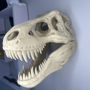 May include: A white, realistic-looking Tyrannosaurus Rex skull replica. The skull is mounted on a wall and has a detailed jaw with sharp teeth.