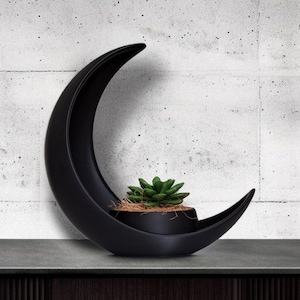 Crescent Moon Planter – 3D Printed Modern Plant Pot | Minimalist Lunar Decor for Desk, Shelf or Bedroom | Black Moon Succulent Holder