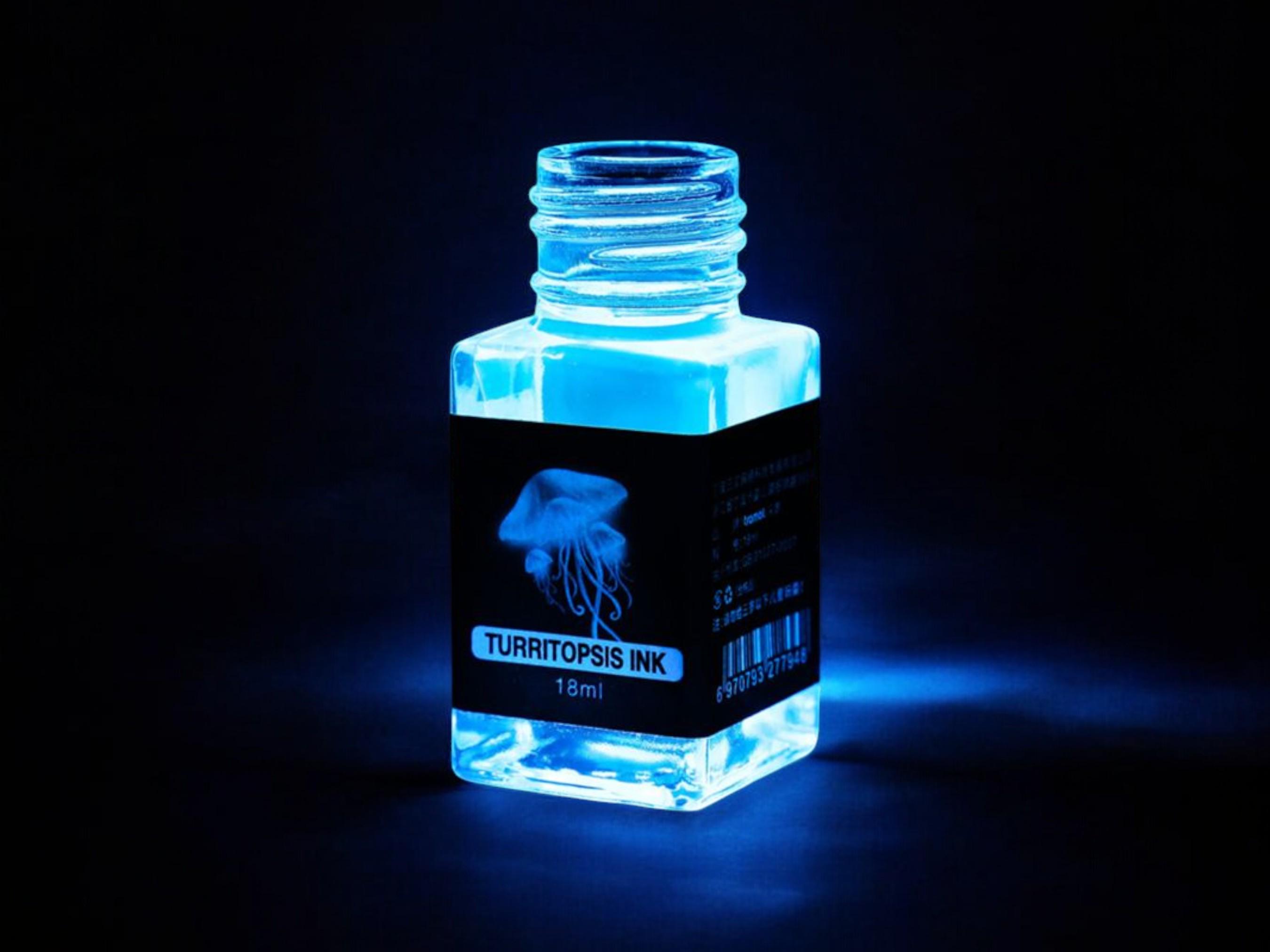 Fountain Pen Invisible Ink | Designed for Secret Message | UV