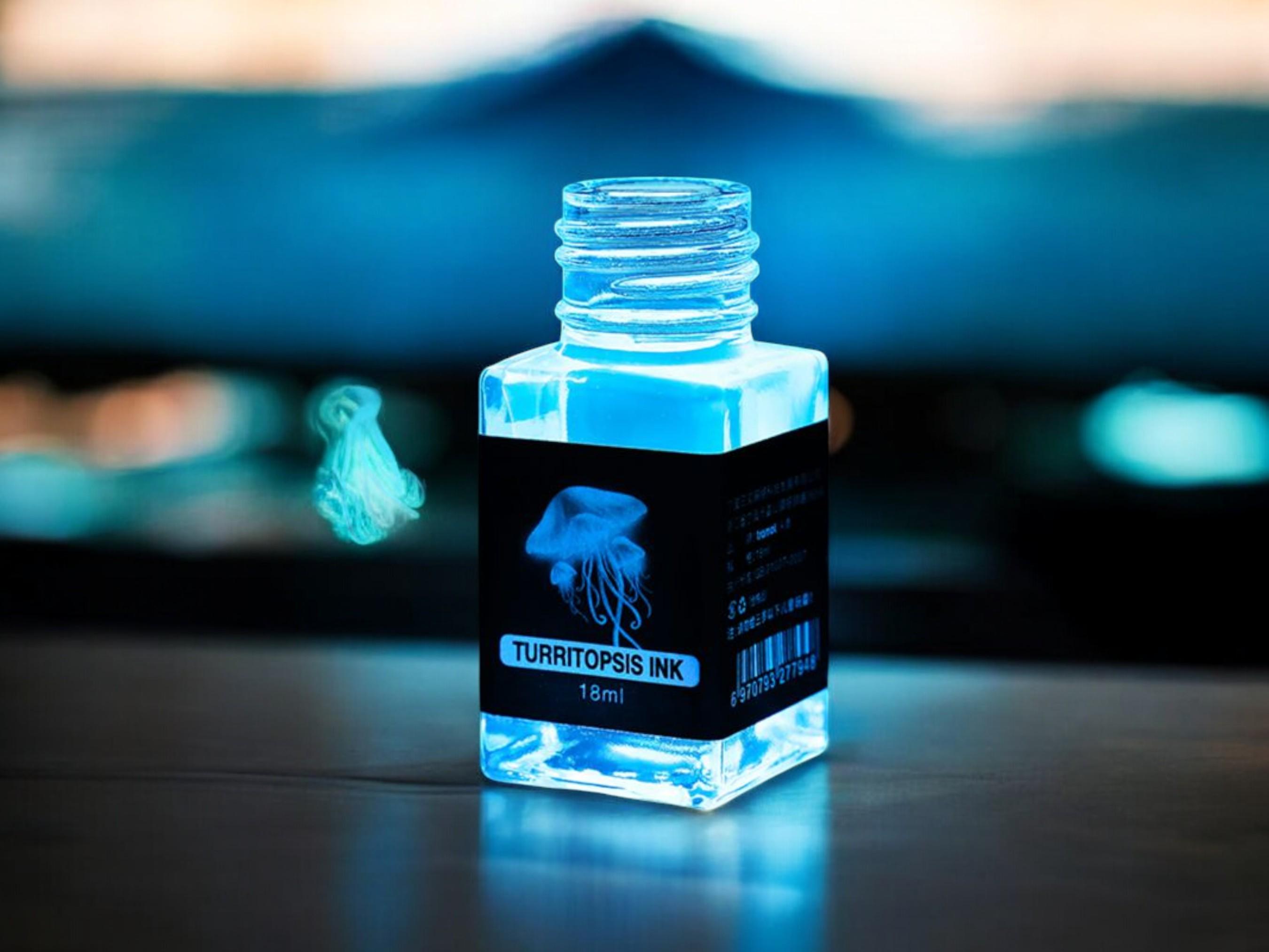 Fountain Pen Invisible Ink | Designed for Secret Message | UV