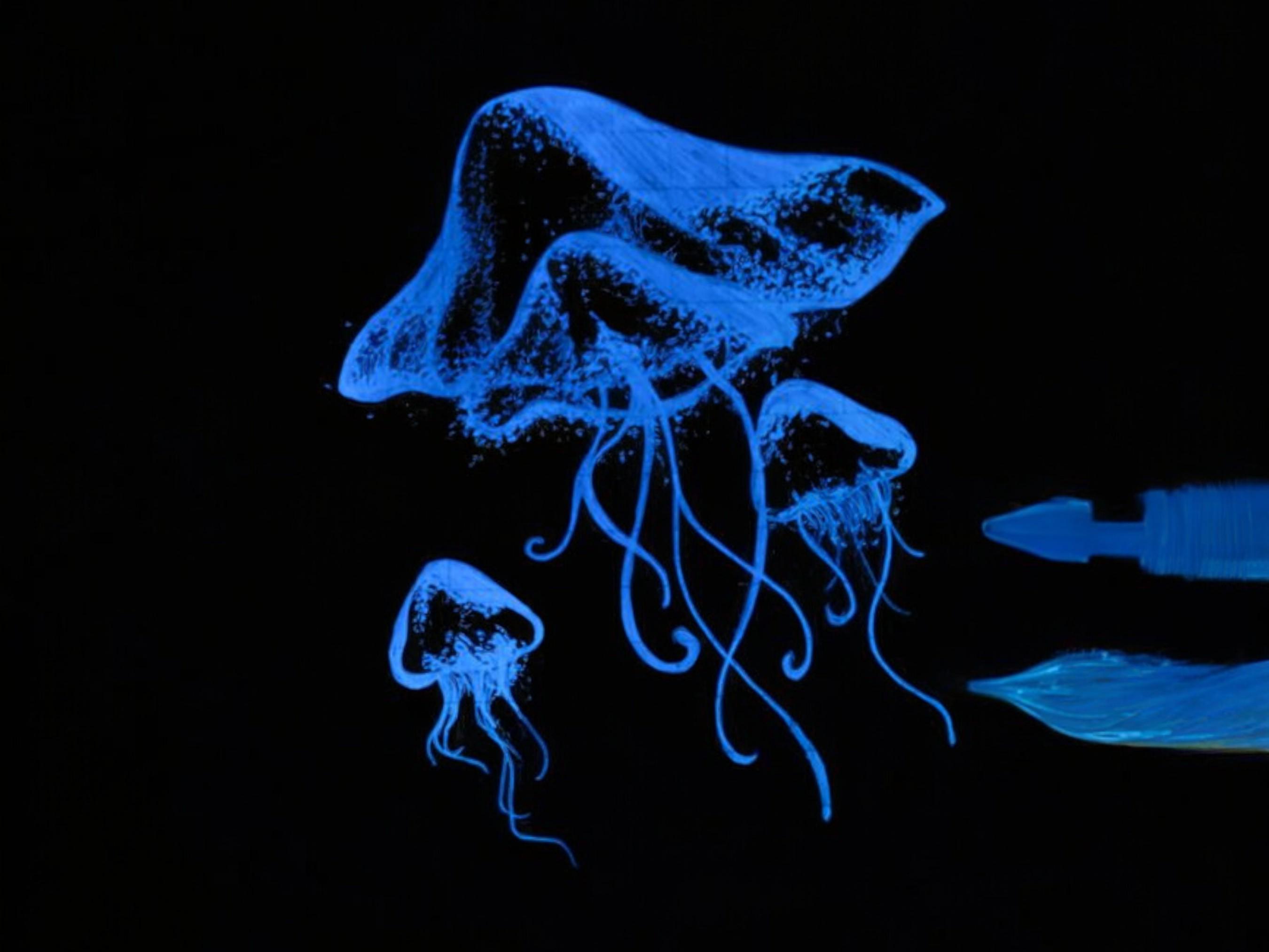 Fountain Pen Invisible Ink | Designed for Secret Message | UV