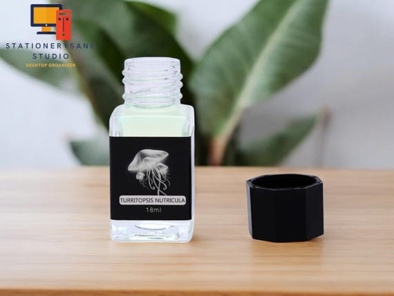 Fountain Pen Invisible Ink | Designed for Secret Message | UV