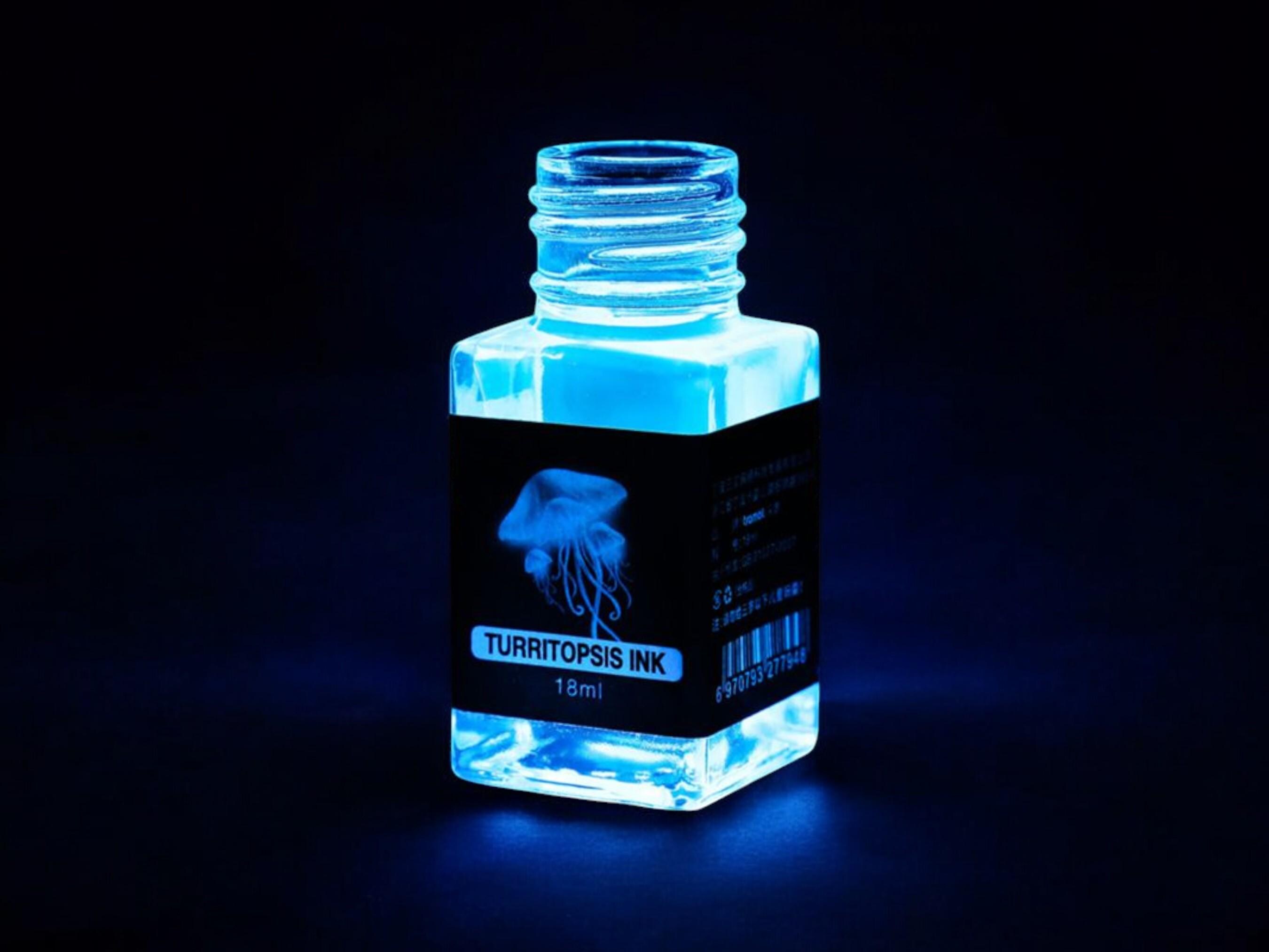 Fountain Pen Invisible Ink | Designed for Secret Message | UV